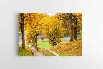 Takas prie Asvejos (Dubingių) (JG00002651)