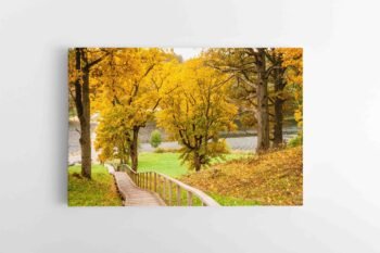 Takas prie Asvejos (Dubingių) (JG00002651)