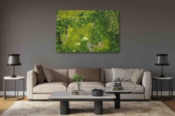 Upės gyvatėlės (JG00002669) - Image 2