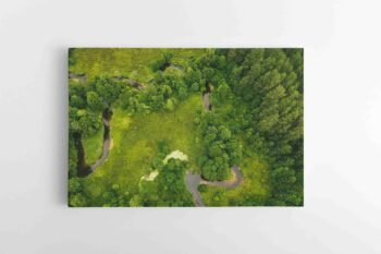 Upės gyvatėlės (JG00002669)