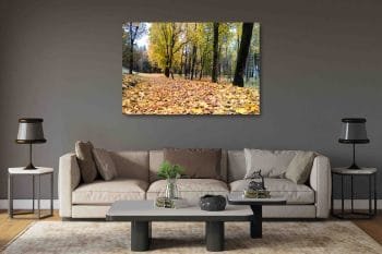 Rudens takeliai (JG00002675) - Image 2