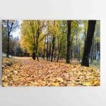 Rudens takeliai (JG00002675)