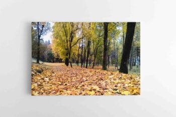 Rudens takeliai (JG00002675)