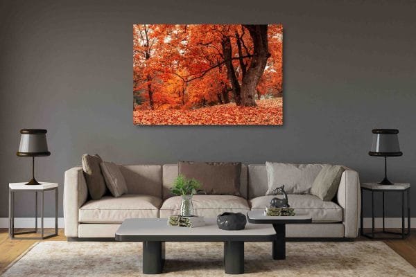 Rudens miškas (JG00002686) - Image 2