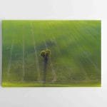 Nuostabūs Lietuvos vaizdai ant drobės (JG00002706)