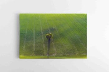 Nuostabūs Lietuvos vaizdai ant drobės (JG00002706)