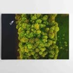 Meninė gamtos fotografija su Mišku ir Mariomis (JG00002708)