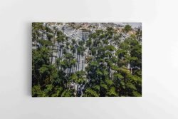 Nuostabioji Olandų kepurė kitaip (JG00002710)