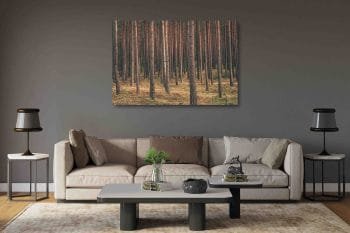 Ramus miškas (JG00002721) - Image 2