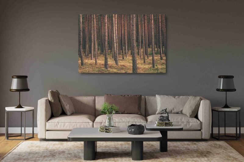 Ramus miškas (JG00002721) - Image 2