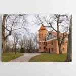 Raudondvario dvaras 2 (JG00002722)