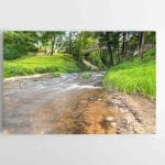 Upelis Druskininkuose (JG00002740)