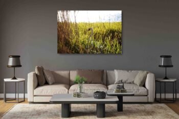 Gražioji Gulbė (JG00002741) - Image 2