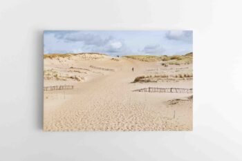 Naglių pažintinis takas (Negyvosios Kopos) (JG00002743)