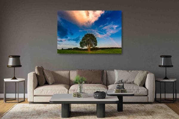 Nuostabus Kraštovaizdis su medžiu ir Vaivorykšte (JG00002744) - Image 2