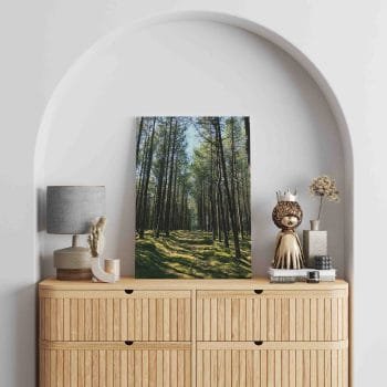 Lietuvos miškų vaizdai (JG00002745) - Image 2