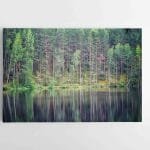 Nuostabi Visagino gamta (JG00002751)