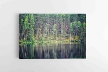 Nuostabi Visagino gamta (JG00002751)