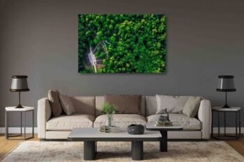 Dainų slėnis Kaune (JG00002760) - Image 2