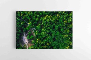 Dainų slėnis Kaune (JG00002760)