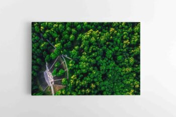 Dainų slėnis Kaune (JG00002760)