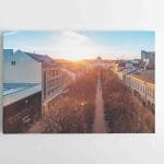 Saulėta Laisvės alėja (JG00002764)