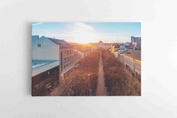 Saulėta Laisvės alėja (JG00002764)