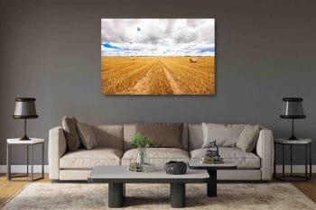 Auksiniai Lietuvos laukai (JG00002782) - Image 2