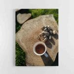 Kava, akmenėliai ir rastas (JG00002681)