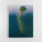 Sala Platelių ežere (JG00002698)