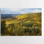 Nuostabūs Lietuvos miškai (JG00002738-1)