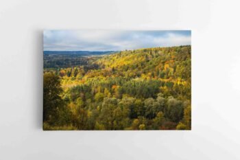 Nuostabūs Lietuvos miškai (JG00002738-1)