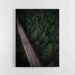 Kelias tarp miškų 2 (JG00002774)