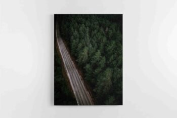 Kelias tarp miškų 2 (JG00002774)