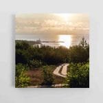 Kelelis Neringoje (JG00002787)