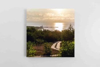 Kelelis Neringoje (JG00002787)