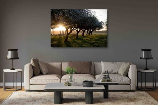 Obelys pavasario ryte (JG00002792) - Image 2