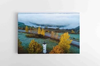 Meninė Vilkija (JG00002795)