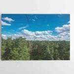 Druskininkų keltuvas "Lynų kelias" (JG00002827)