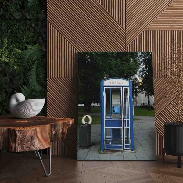 Taksofono būdelė (JG00003073) - Image 2