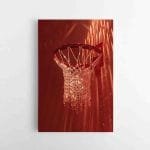 Deimantinis Krepšinio tinklelis (JG00003076)