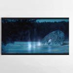 Balžio ežeras | erdvėlaivis Cyber Punk Vilnius Poul Norton