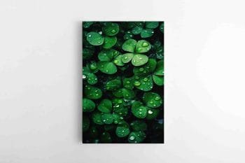 Keturlapis dobilas (JG00001257)