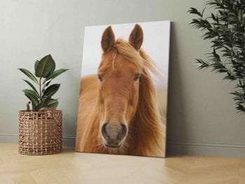 Gražuolio žirgo paveikslas (JG00001337) - Image 2