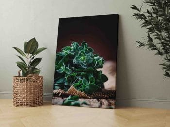 Šviežiai žalias (JG00001353) - Image 3