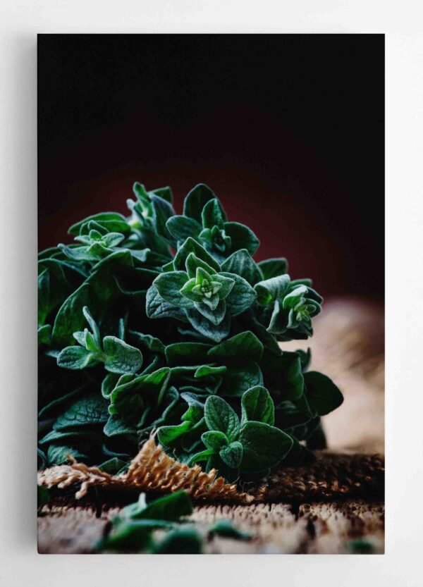 Šviežiai žalias (JG00001353) - Image 2