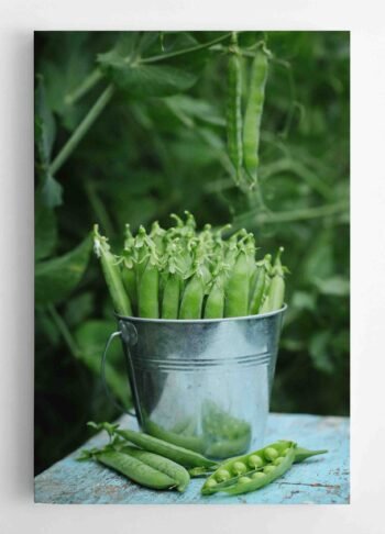 Žirnių Paveikslas (JG00001377) - Image 3