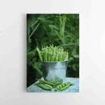 Žirnių Paveikslas (JG00001377)