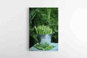 Žirnių Paveikslas (JG00001377)