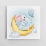 Drambliukas ant mėnulio (JG00001688)